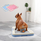 Portable Dog Training Toilet Indoor Dogs Potty Pet Toilet