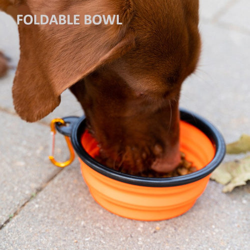 Foldable Dog Bowl Portable Silicone Large Water Food Bowl
